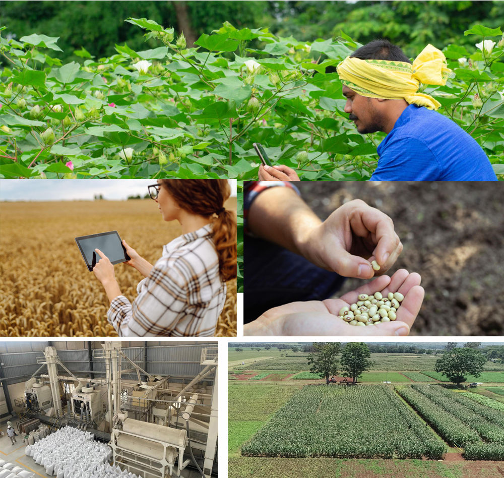 Beejdhari Agro Seed Pvt. Ltd.