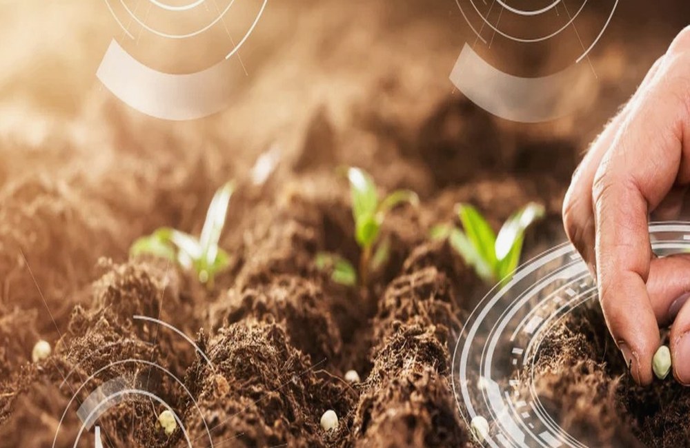 Sustainable Farming